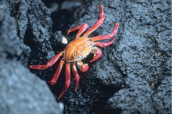 2025121116292203.webp 3.webp