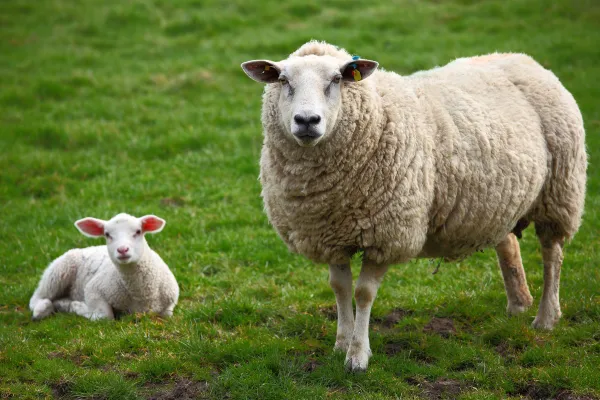 2025121116412792.webp 3.webp