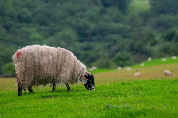 2025121116656413.webp 6.webp