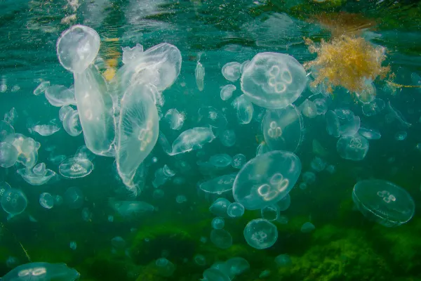 2025122512385886.webp 5.webp