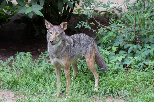 2025122512758952.webp 16.webp