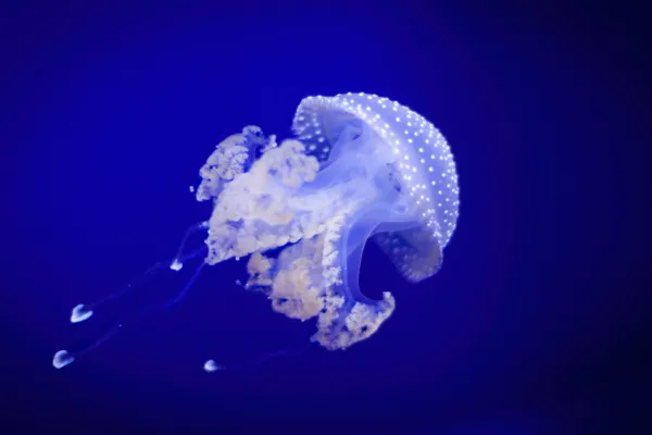 2025122514039135.webp 6.webp