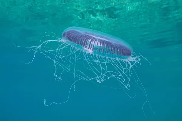 2025122514402210.webp 2.webp