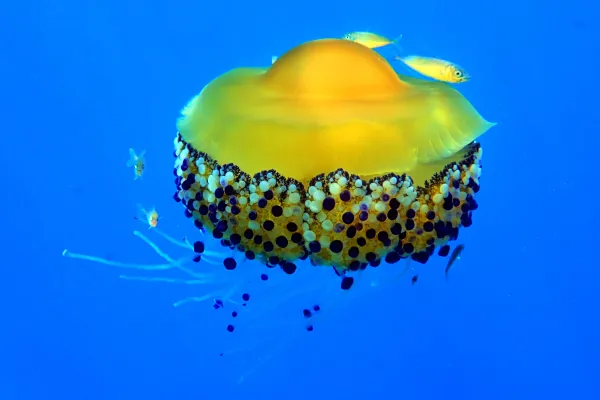 2025122515602977.webp 4.webp