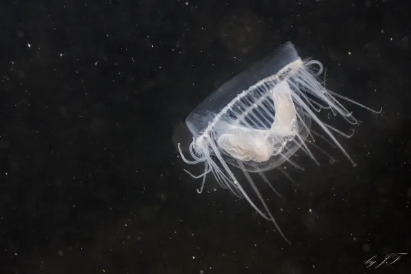 2025122532088359.webp 3.webp