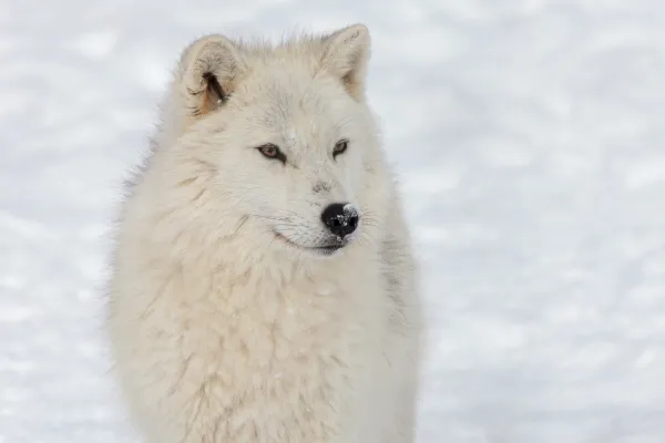 2025122552477767.webp 5.webp