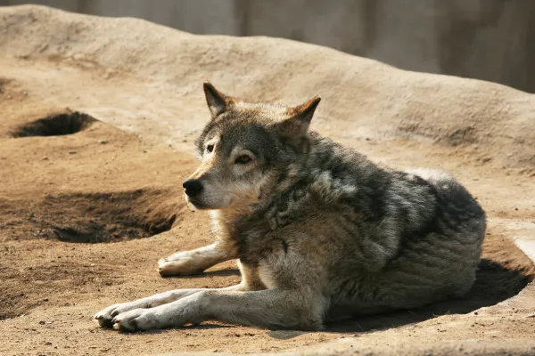 2025122560777158.webp 12.webp