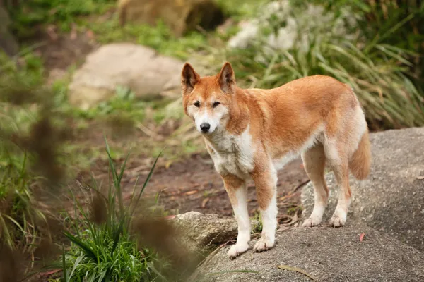 2025122560958179.webp 4.webp