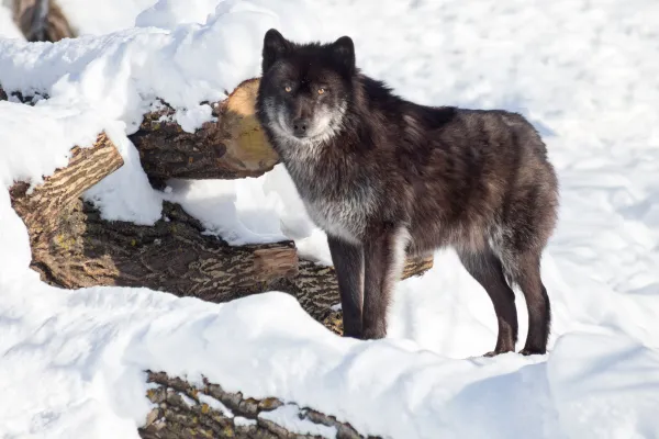 2025122573239765.webp 19.webp