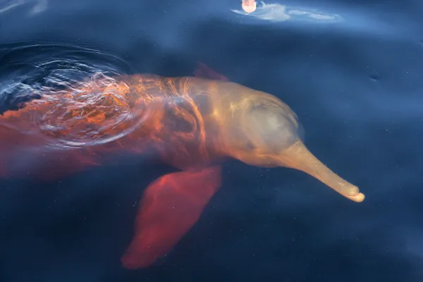 2026010620160530.webp 3.webp