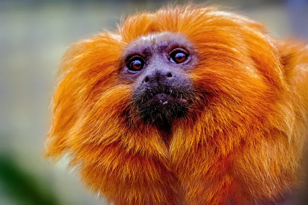 2026010649795906.webp 7.webp